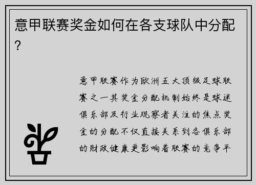 意甲联赛奖金如何在各支球队中分配？